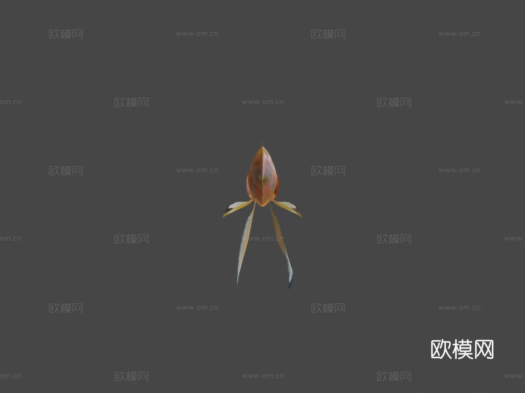 金鱼3d模型