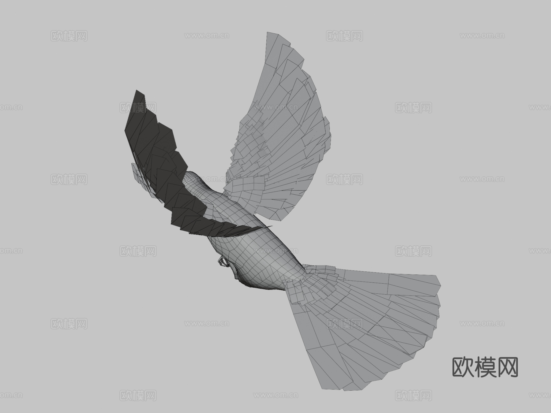 黑鸟3d模型