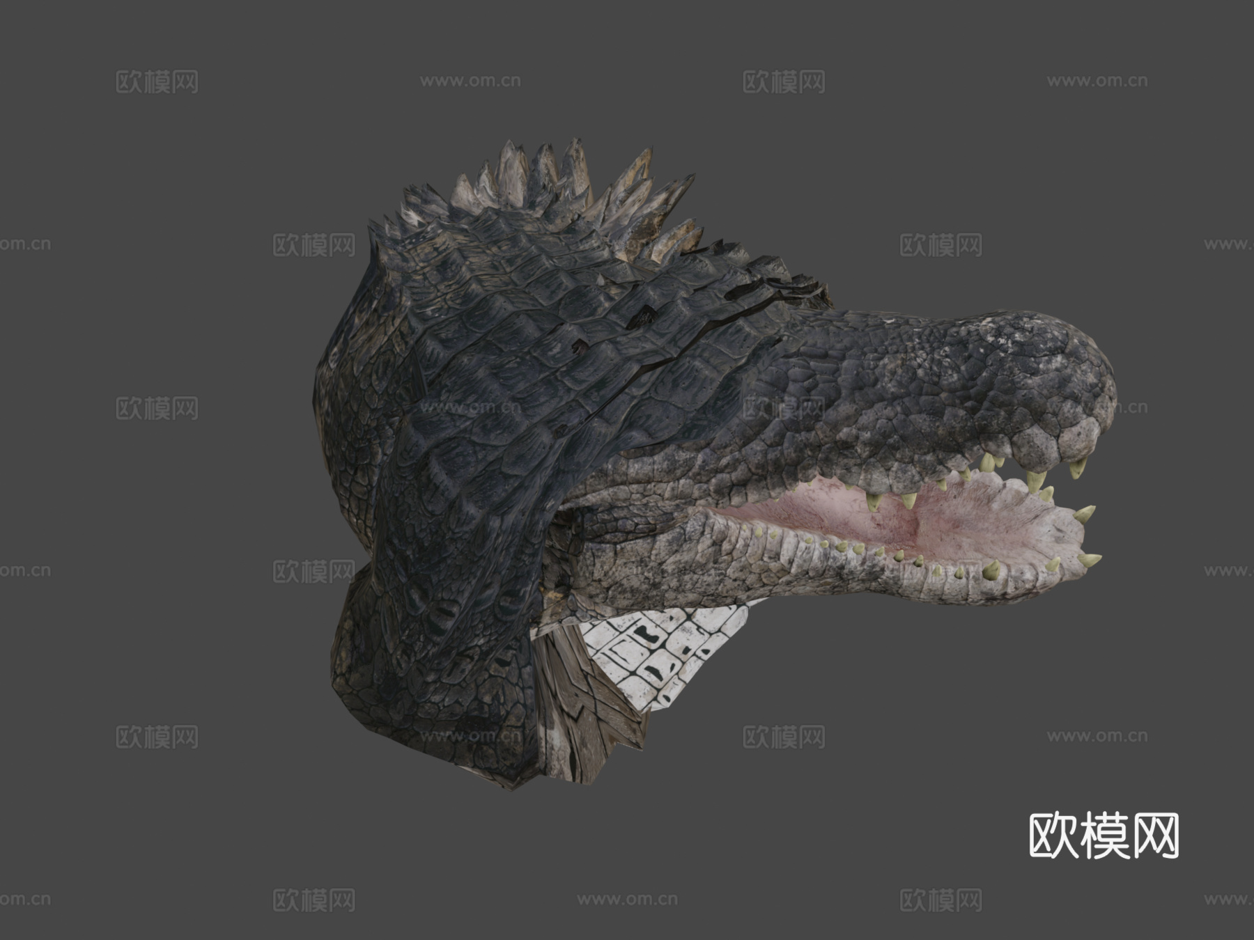 咸水鳄3d模型