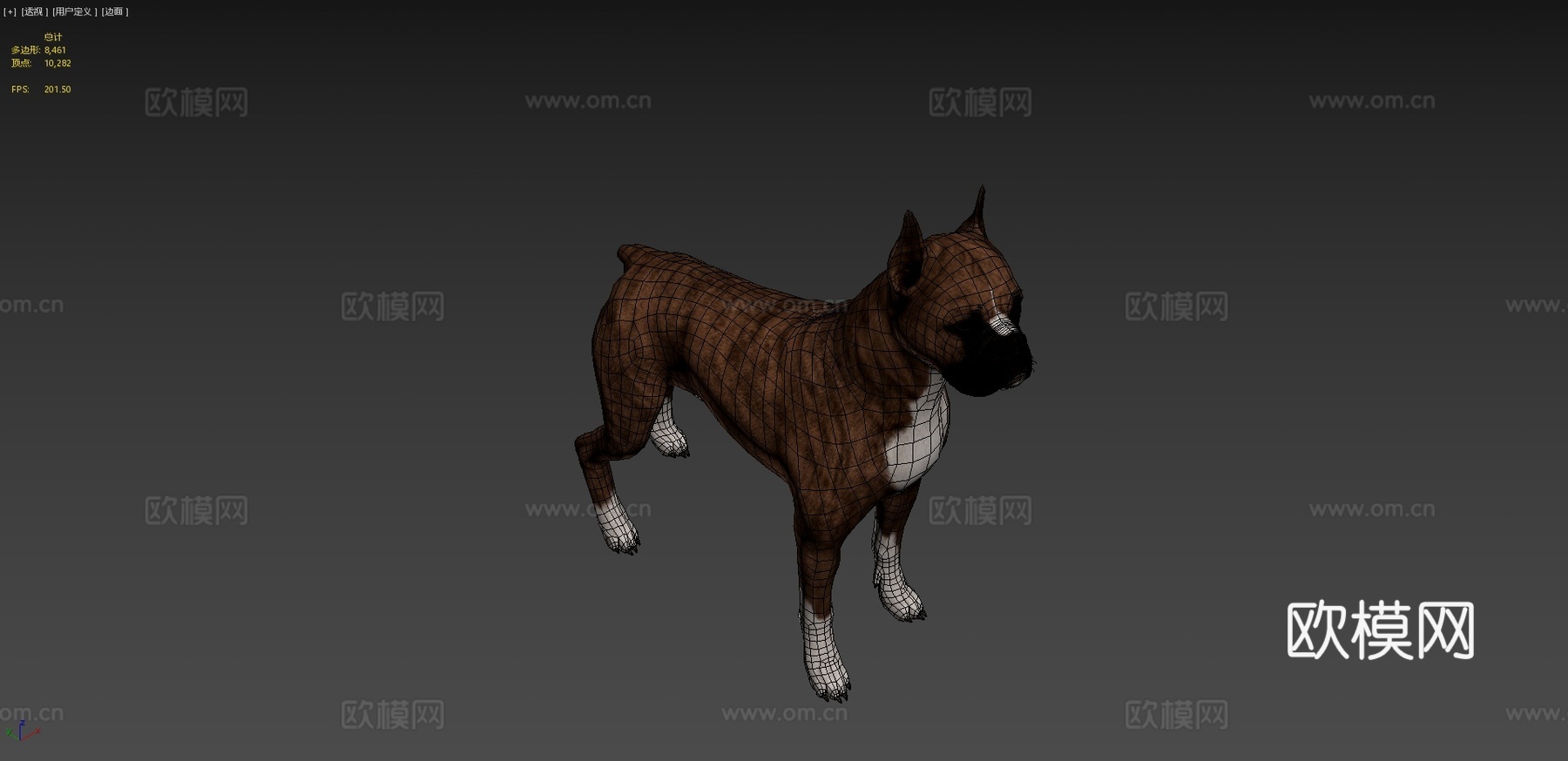 拳师犬3d模型