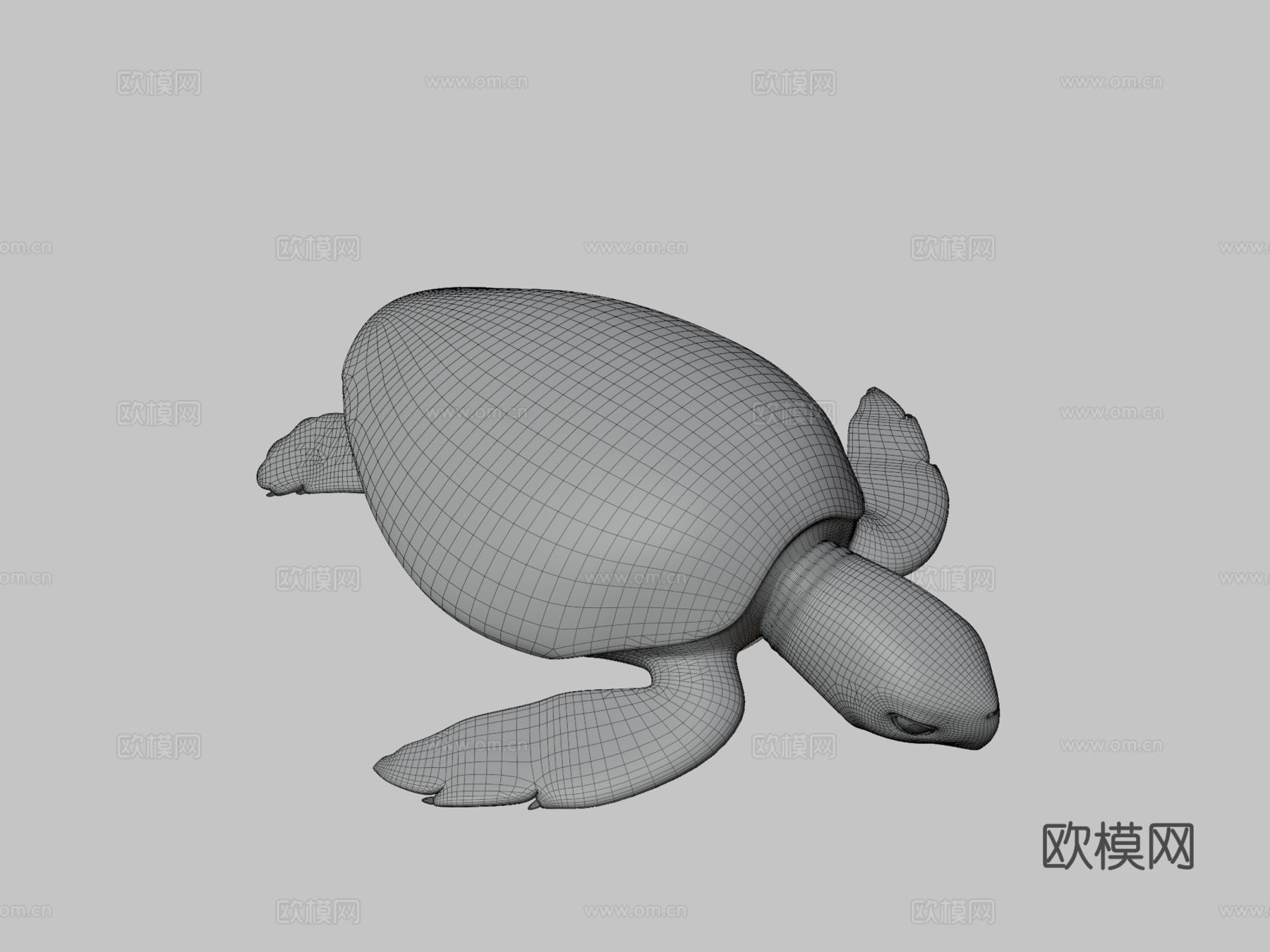 蠵龟3d模型