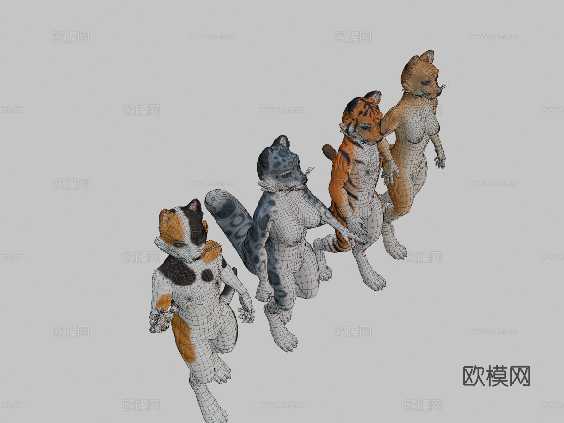 库达的猫科-VRChat虚拟形象3d模型
