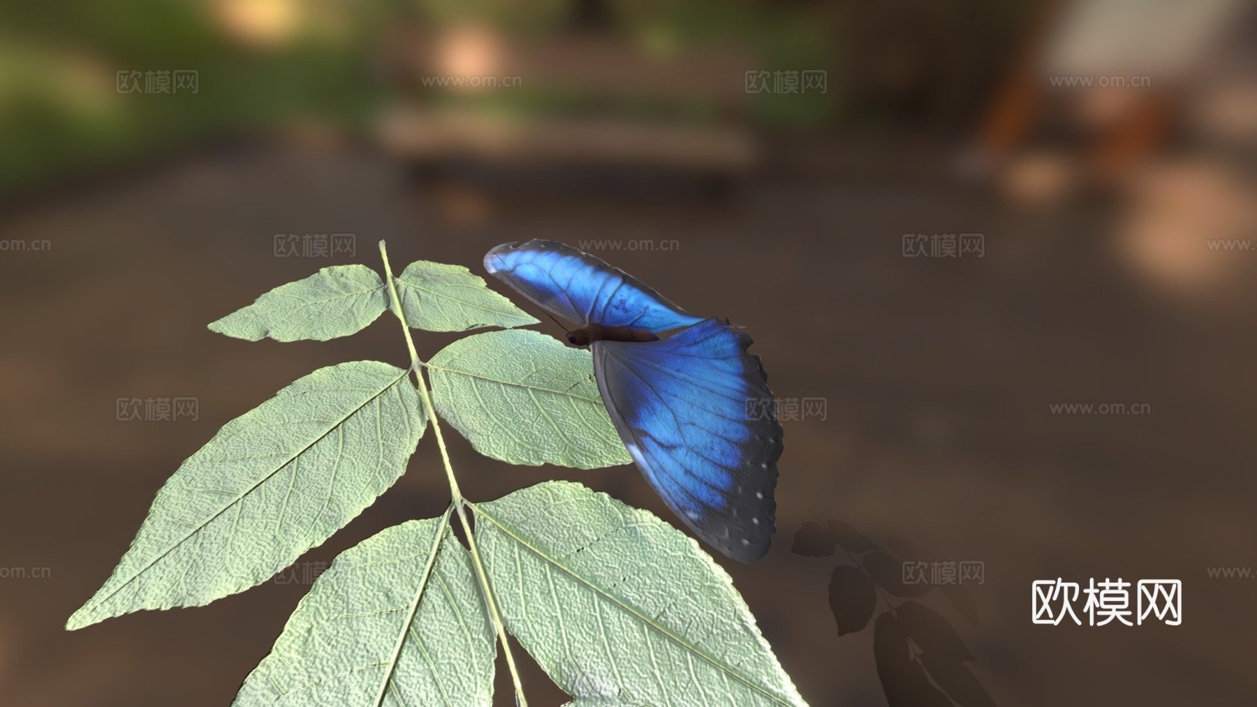 翱翔蝴蝶动画3d模型