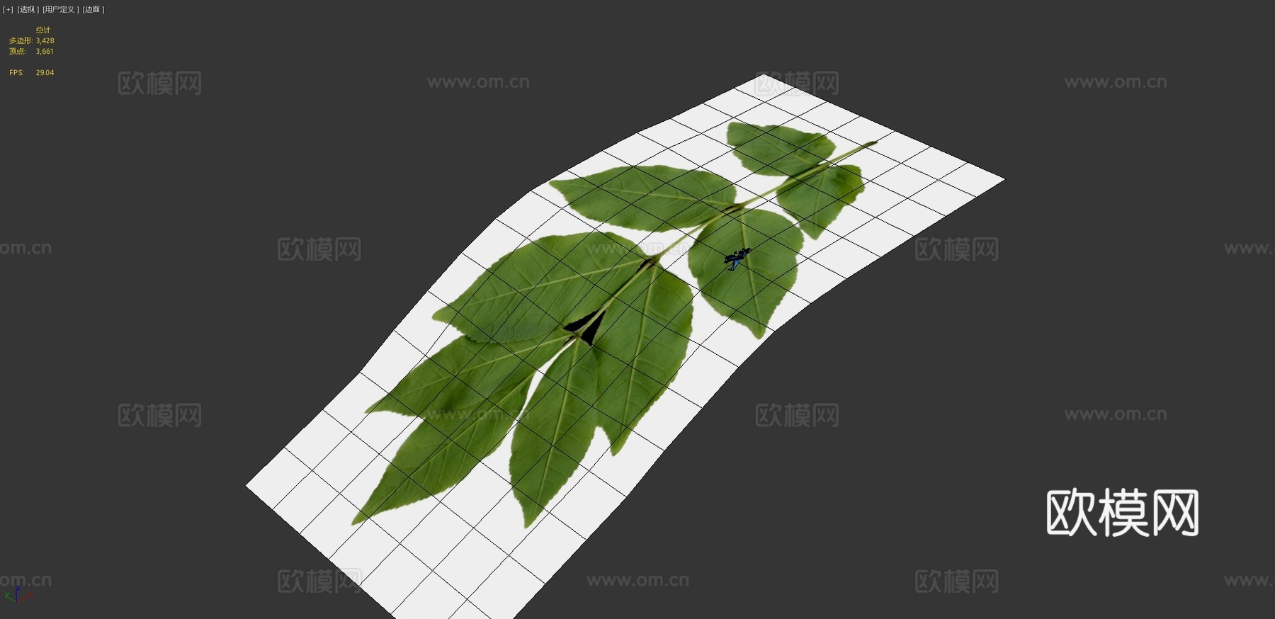 翱翔蝴蝶动画3d模型