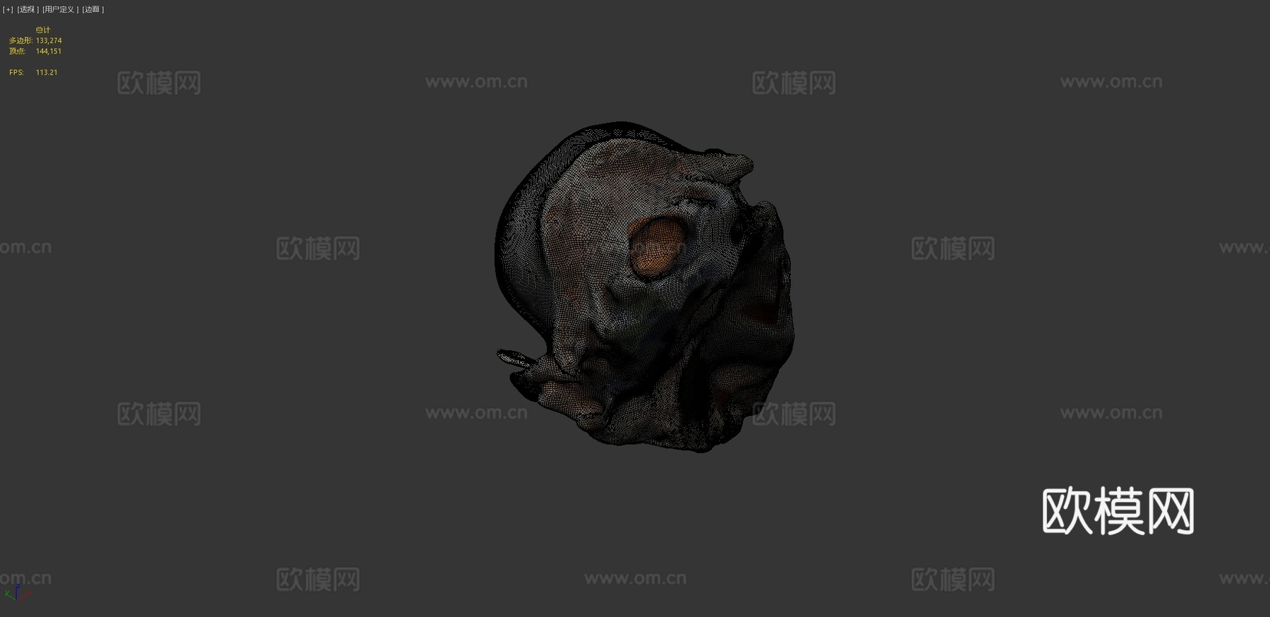 浣熊头骨3d模型