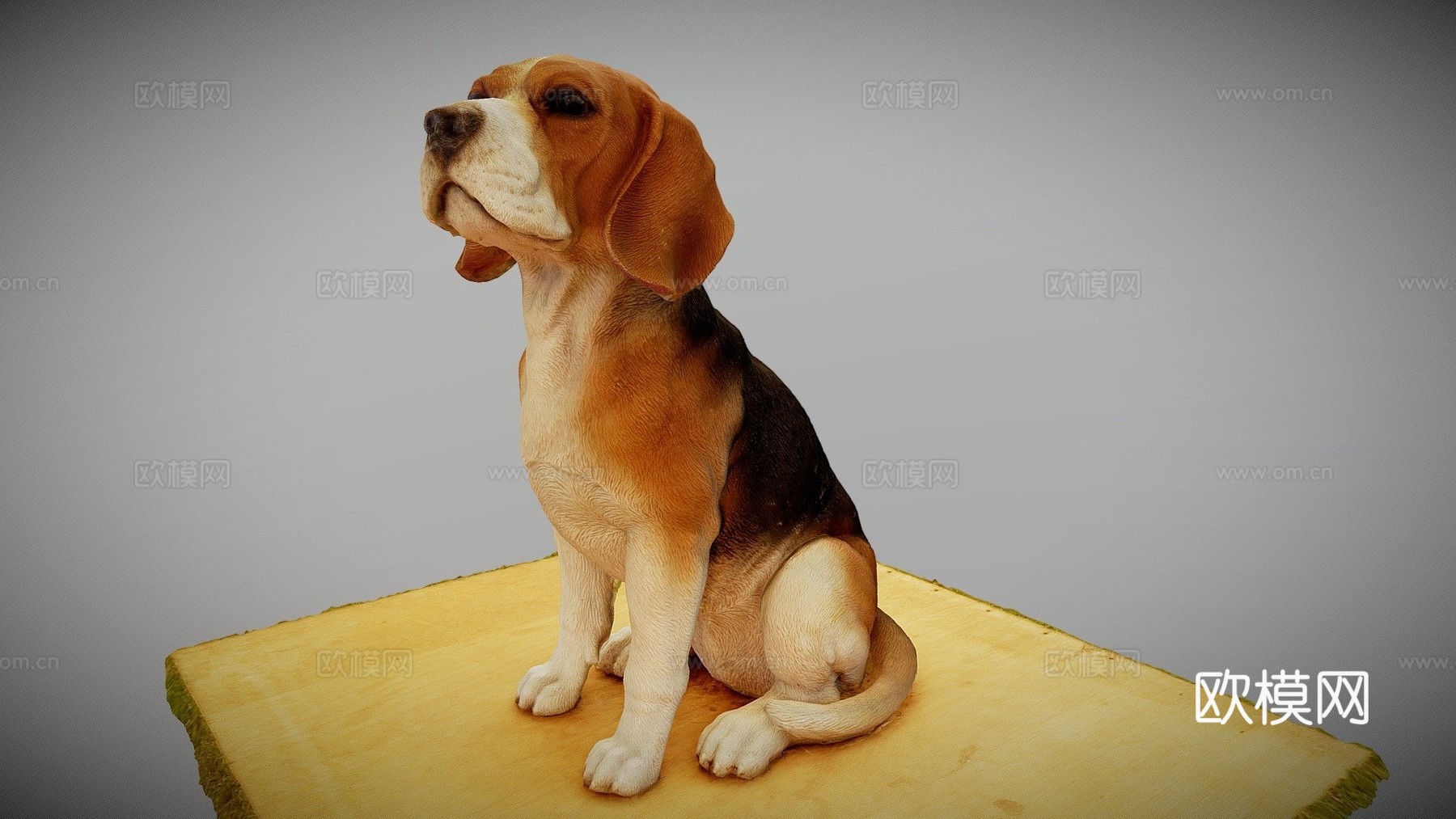 比格犬3d模型