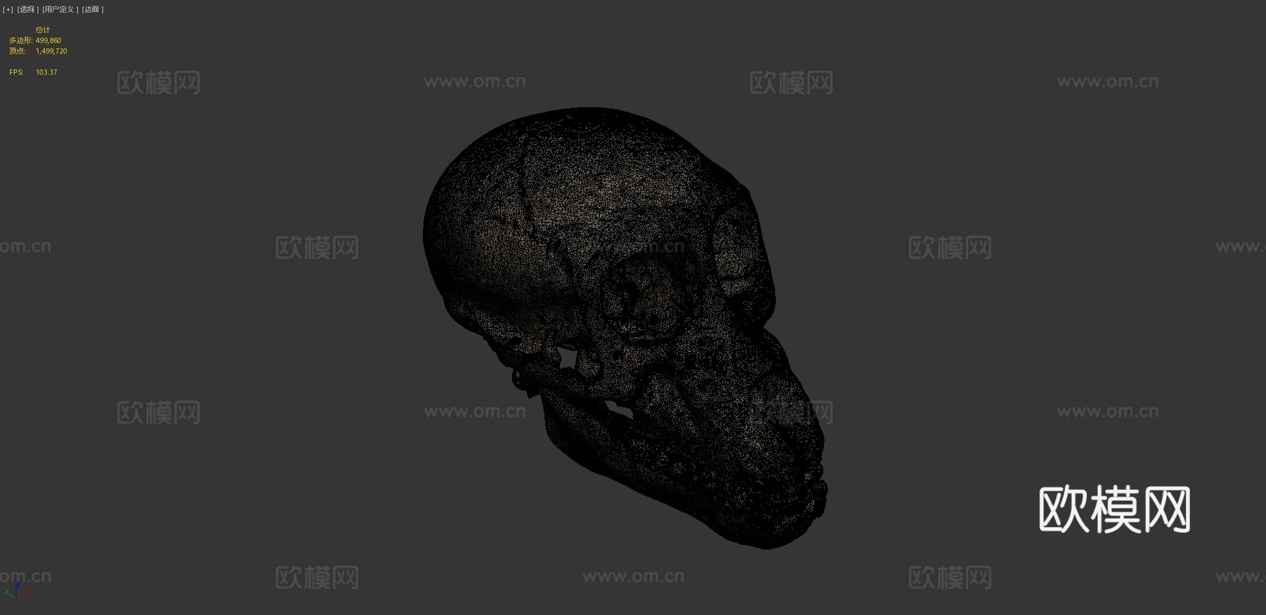 查克玛狒狒头骨3d模型