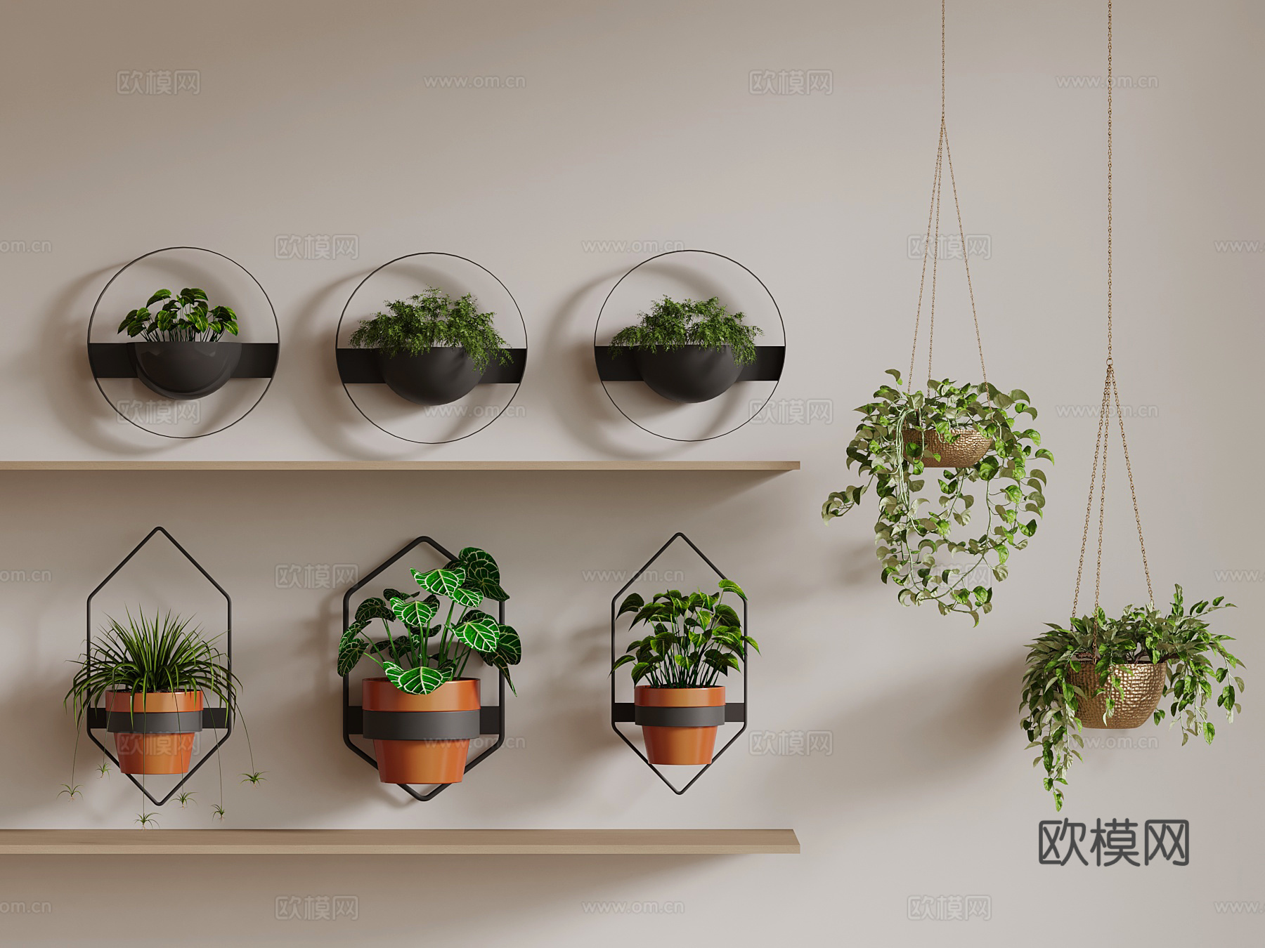 现代绿植 吊篮 悬挂盆栽3d模型