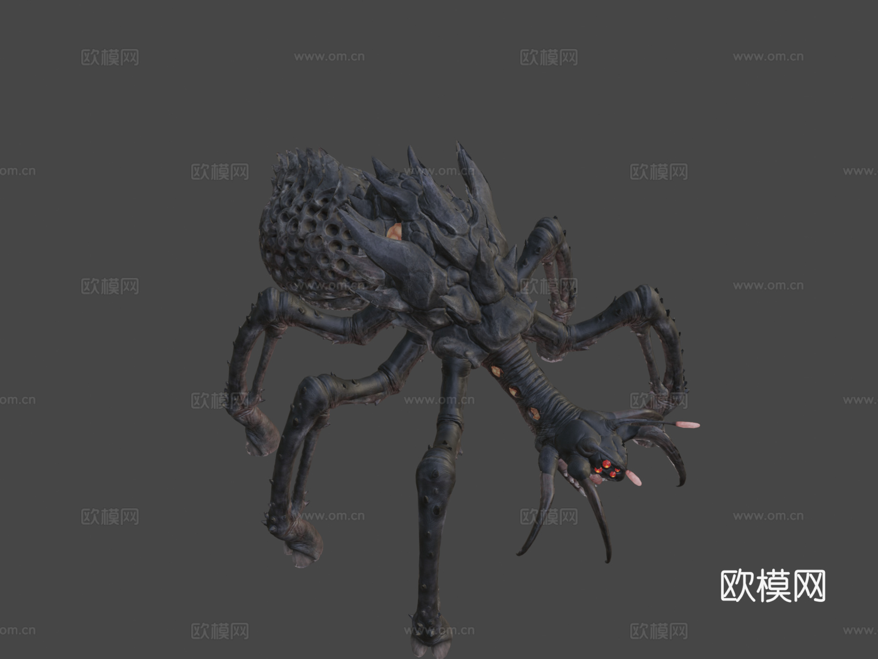 英格纳尔维斯动画3d模型