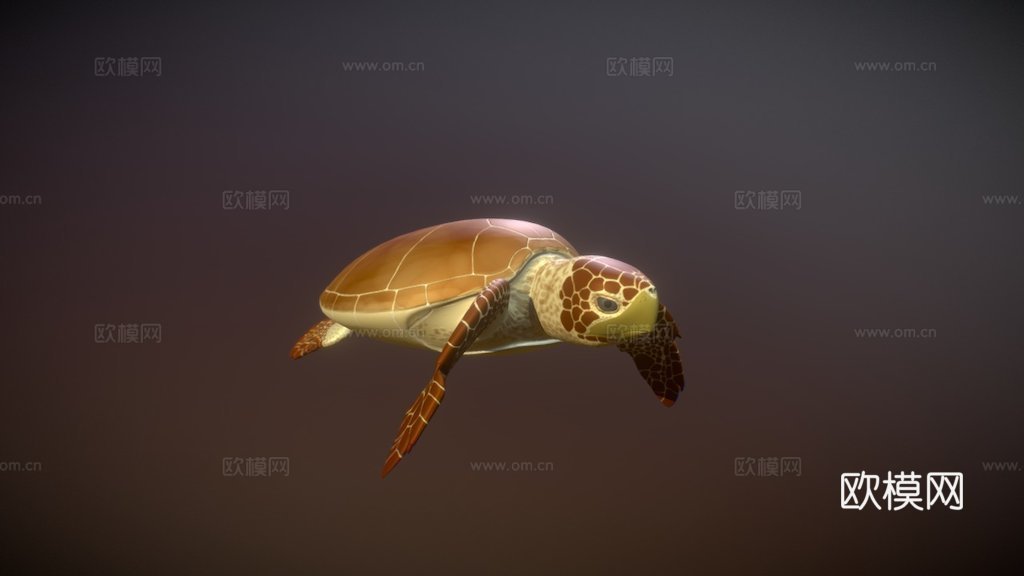 蠵龟3d模型