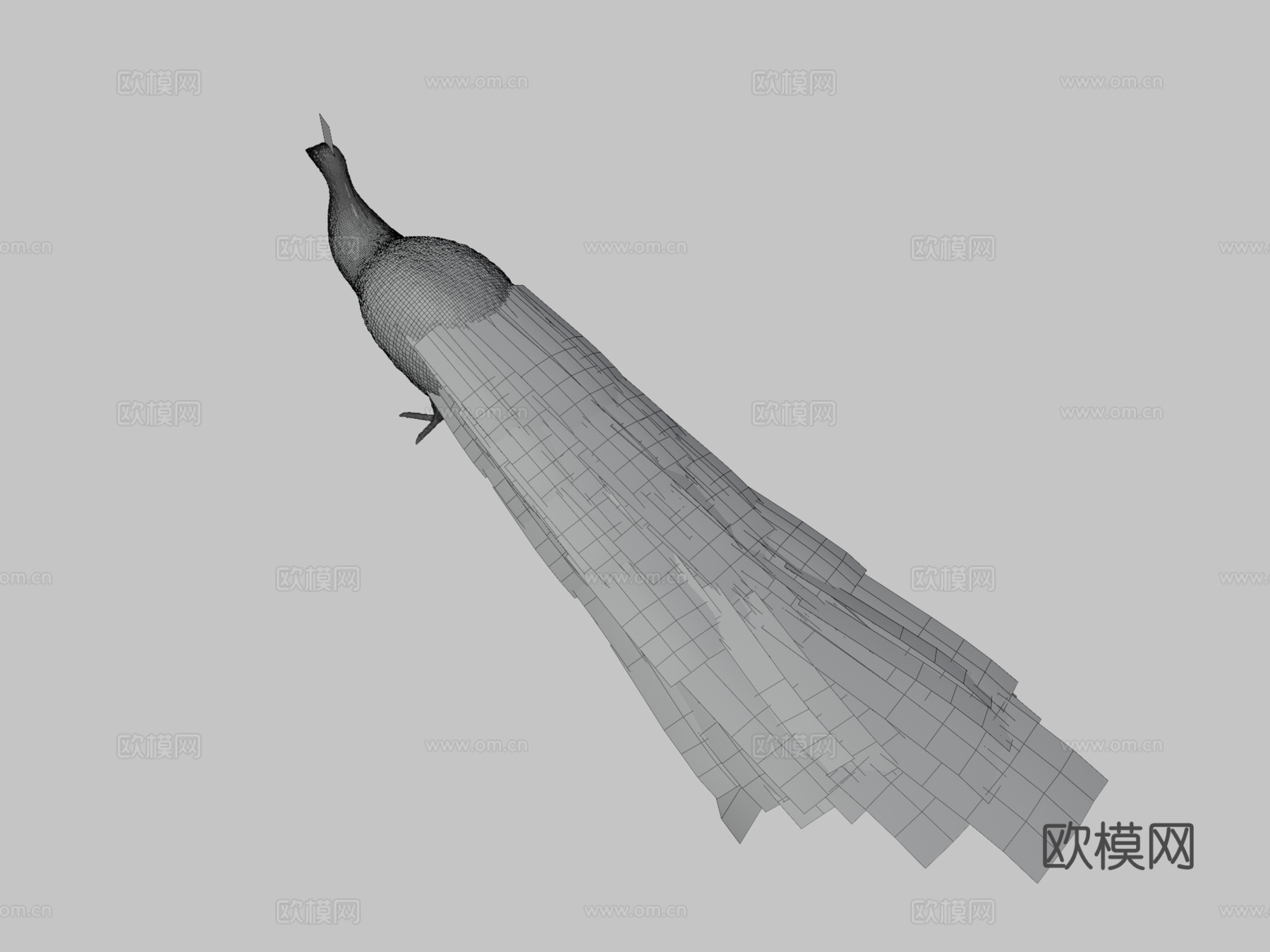 孔雀3d模型