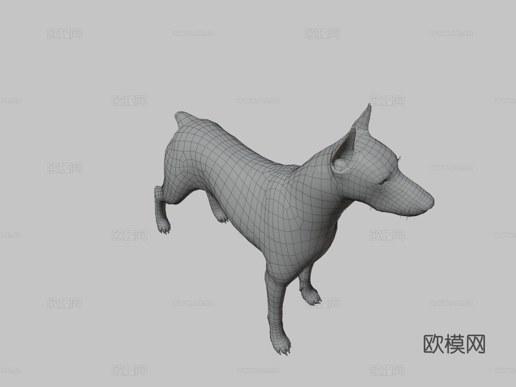 杜宾犬3d模型