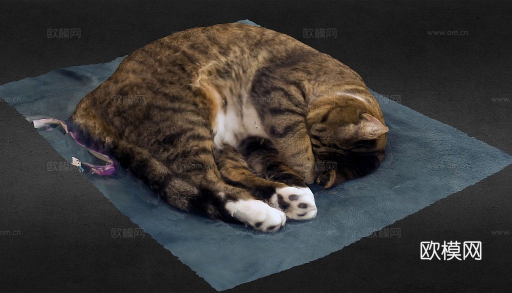 我的另一只猫3d模型