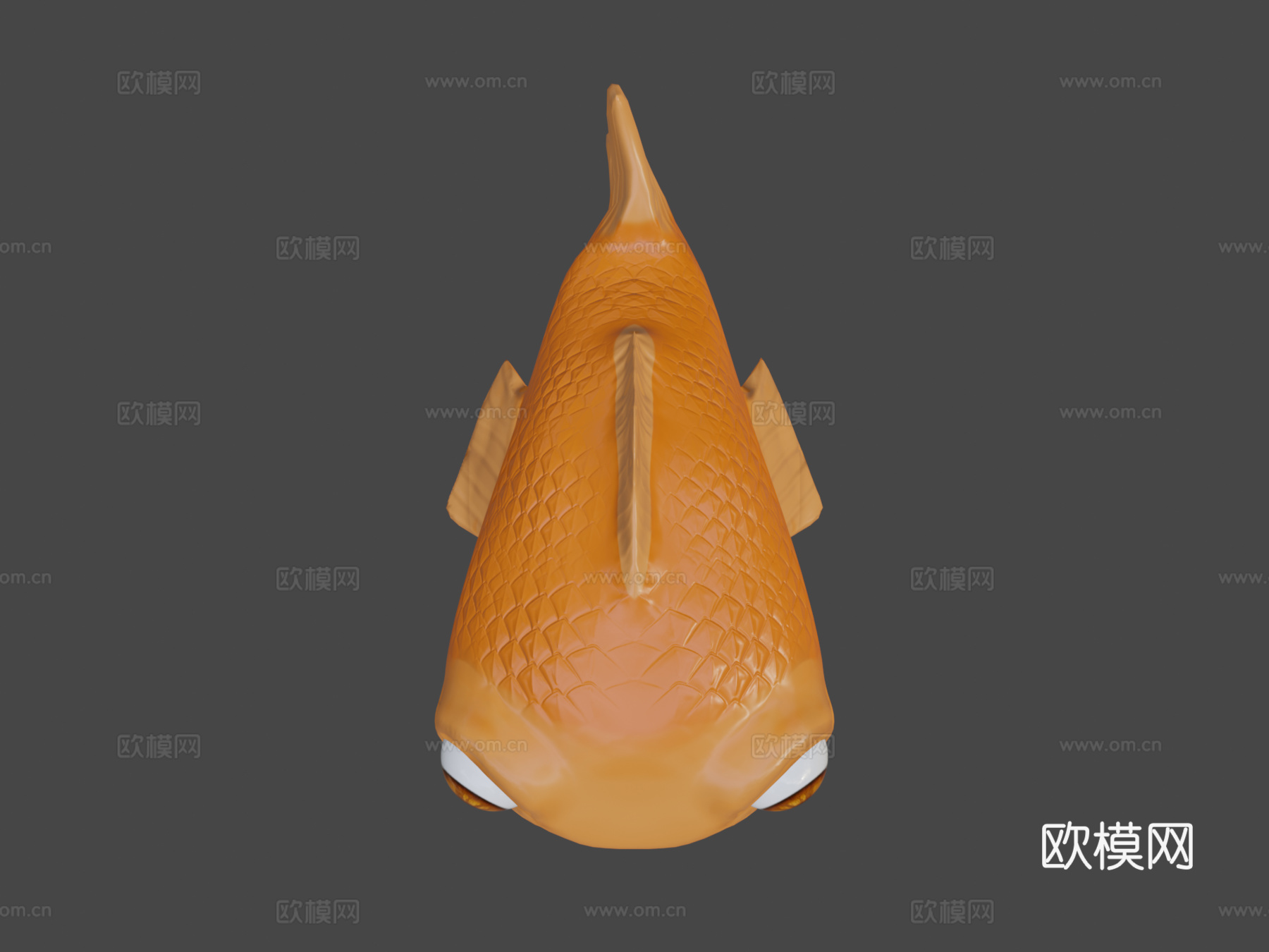 卡通鱼3d模型