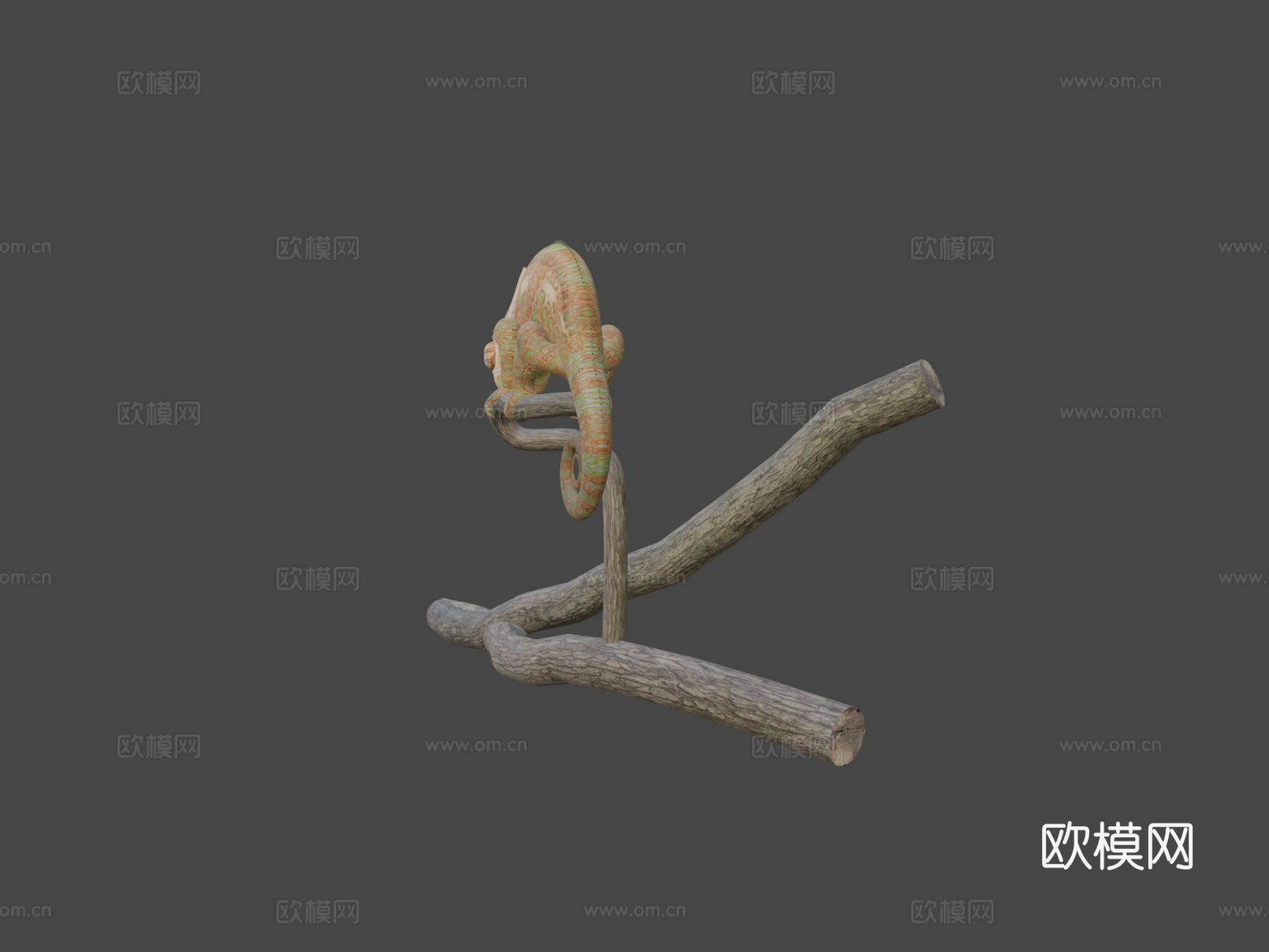 变色龙3d模型