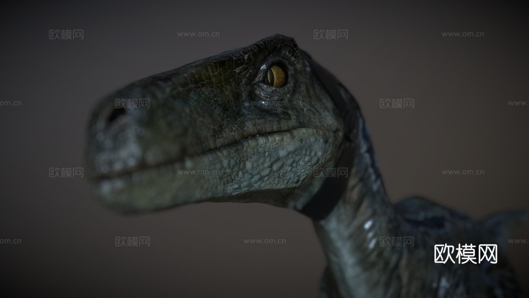 蓝色迅猛龙绑定(不不要吃我凯索(摩天轮))3d模型