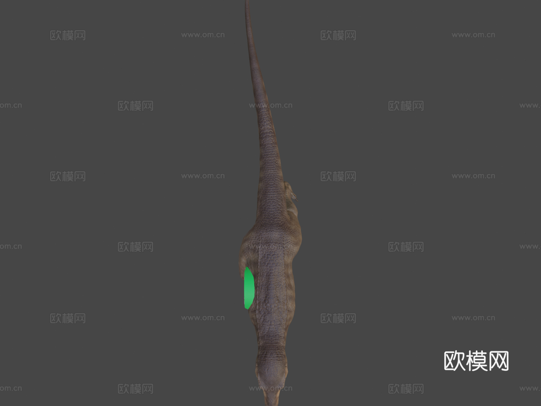 霸王龙3d模型
