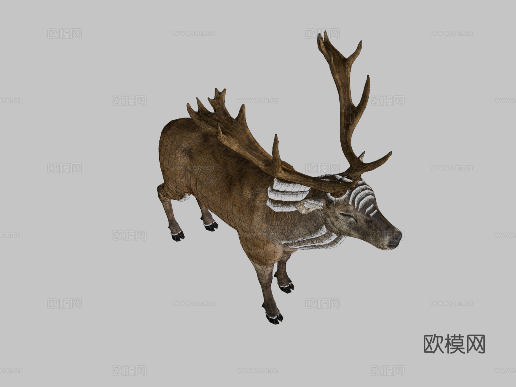 红鹿3d模型