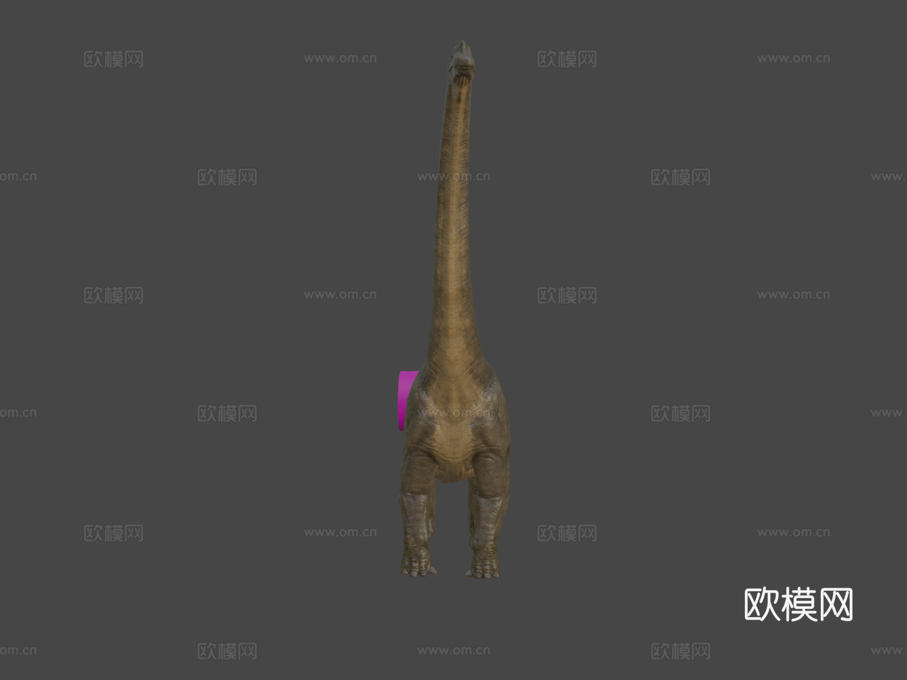 腕龙3d模型