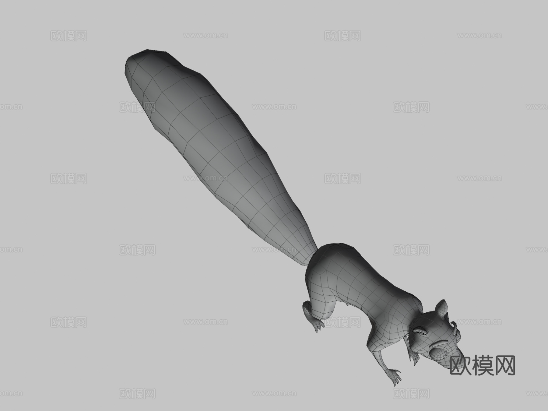 松鼠3d模型