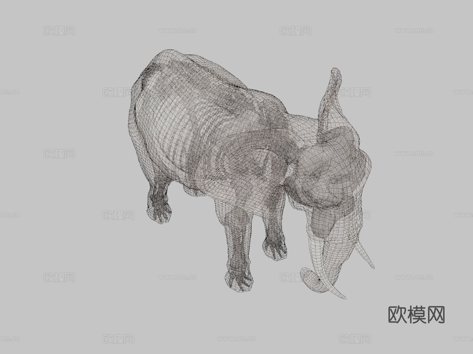 非洲象骨骼3d模型