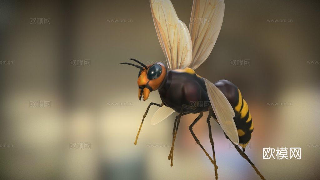 飞黄蜂3d模型