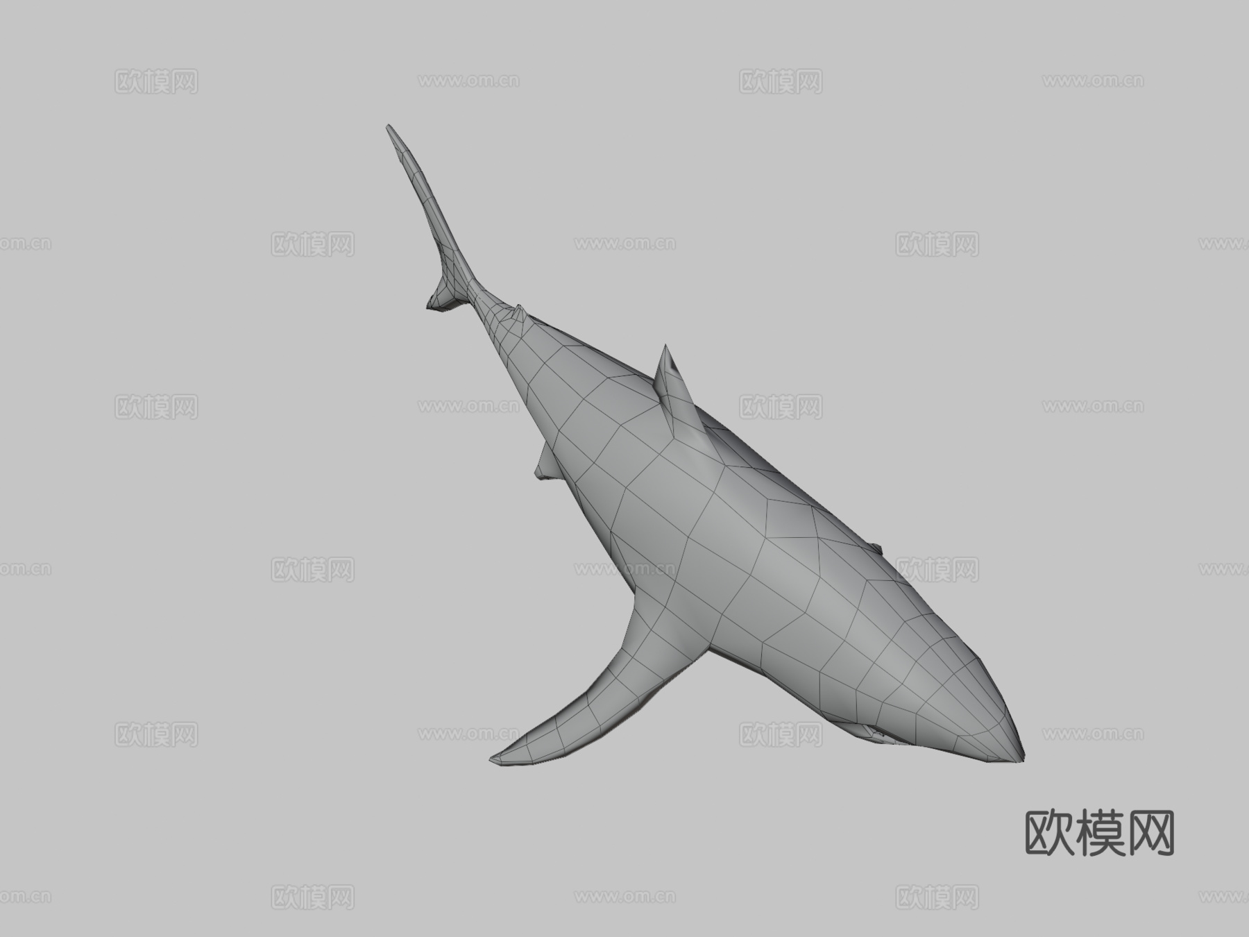 大白鲨(马特乌斯·施瓦布)_23d模型