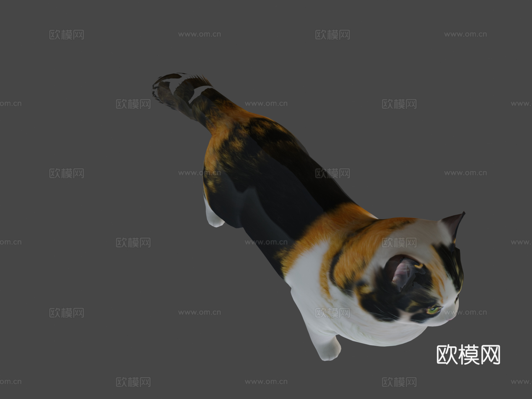 曼基康猫3d模型