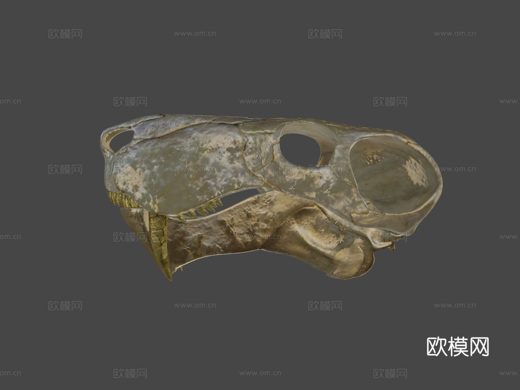 蛇齿龙3d模型
