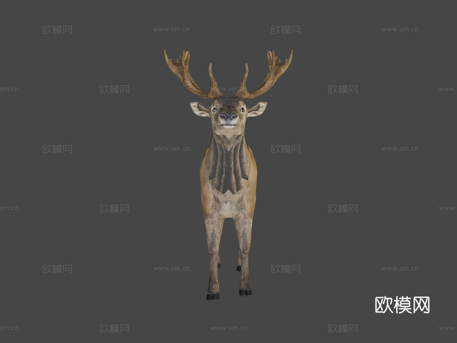 红鹿3d模型
