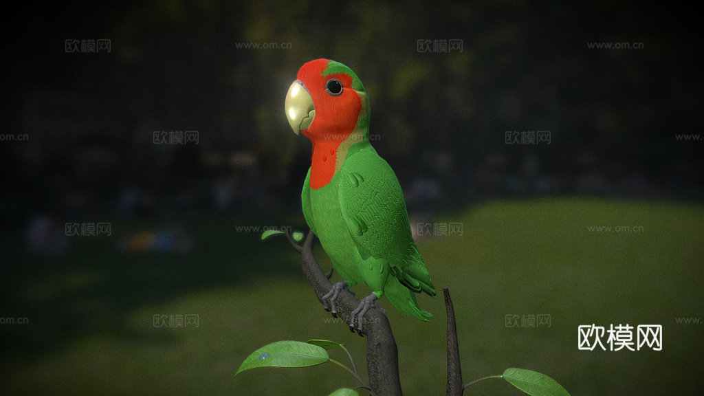 鸟类3d模型
