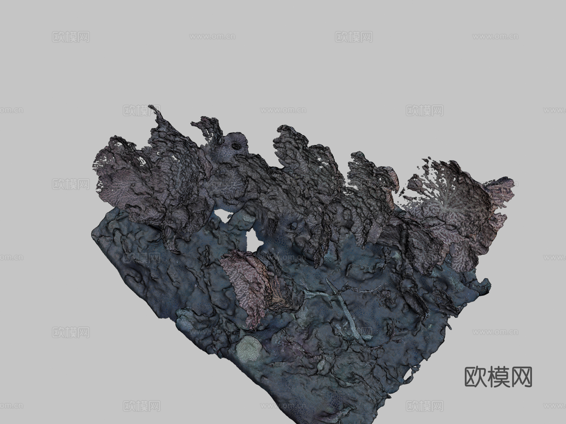 深海珊瑚3d模型