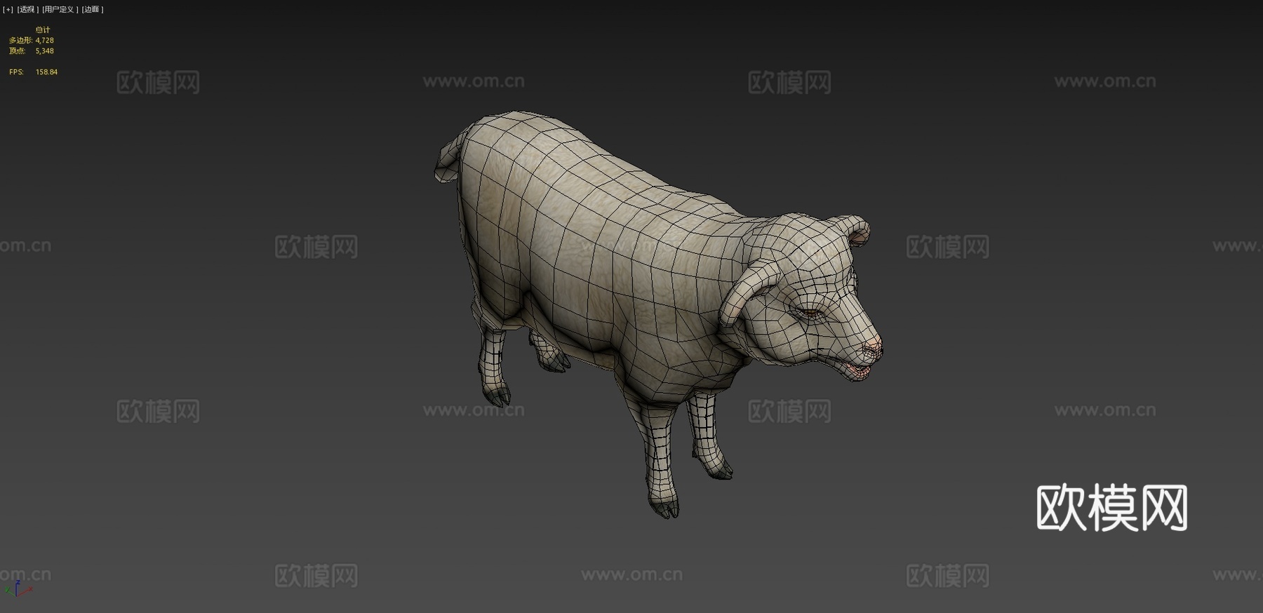 绵羊动画3d模型