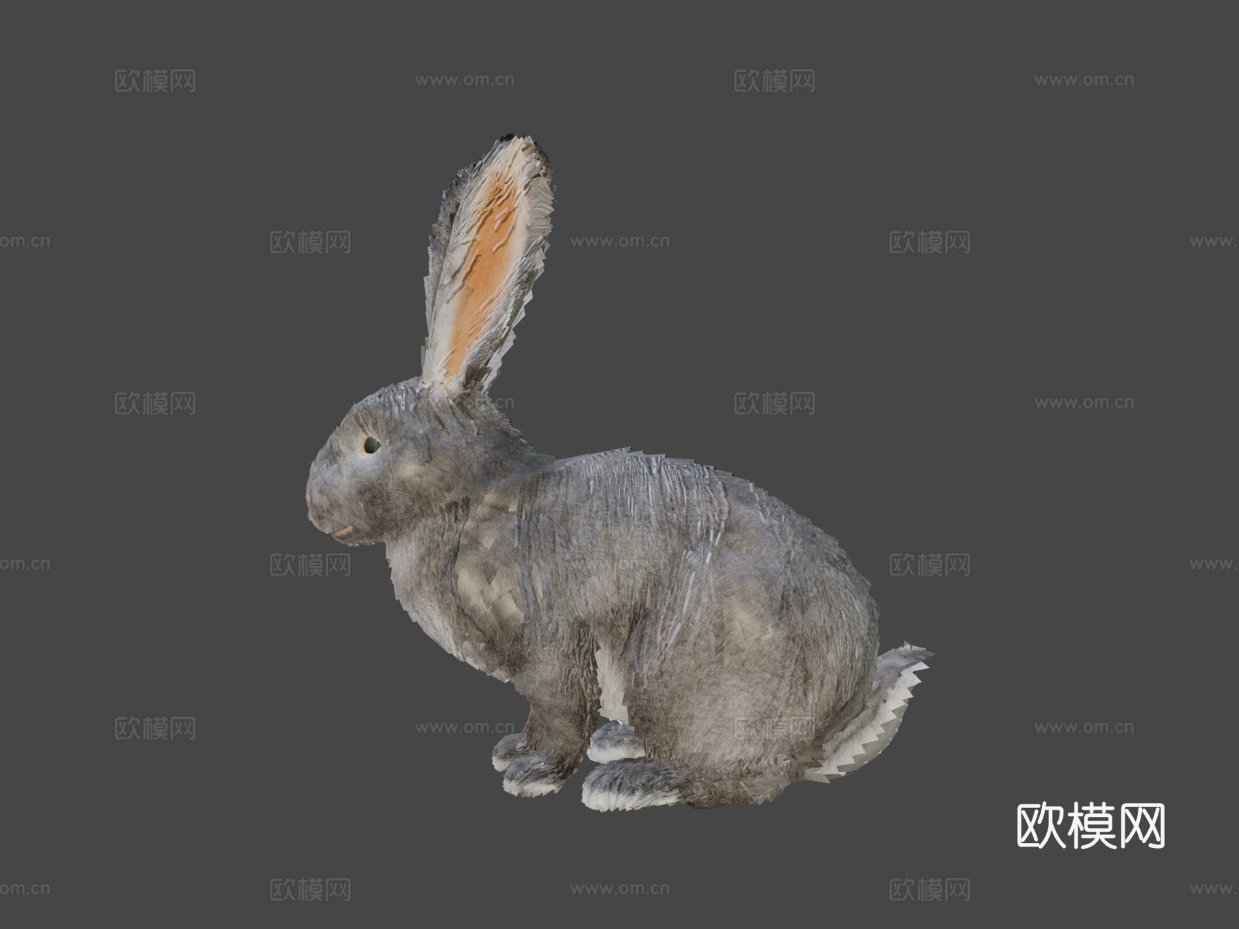 写实兔子3d模型