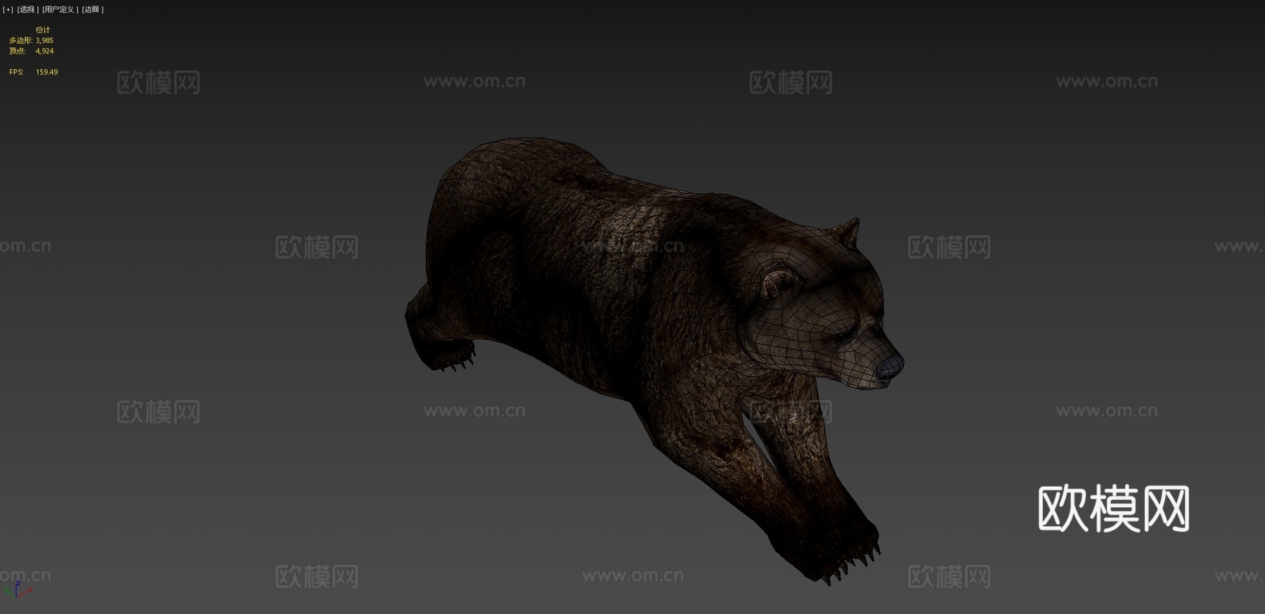 棕熊3d模型