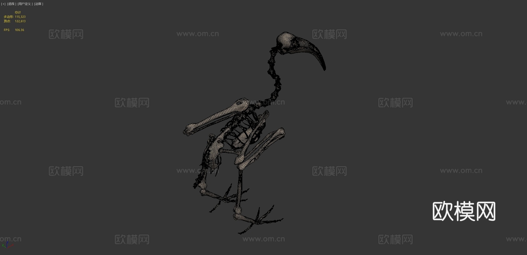 鸟类骨架朱鹭3d模型