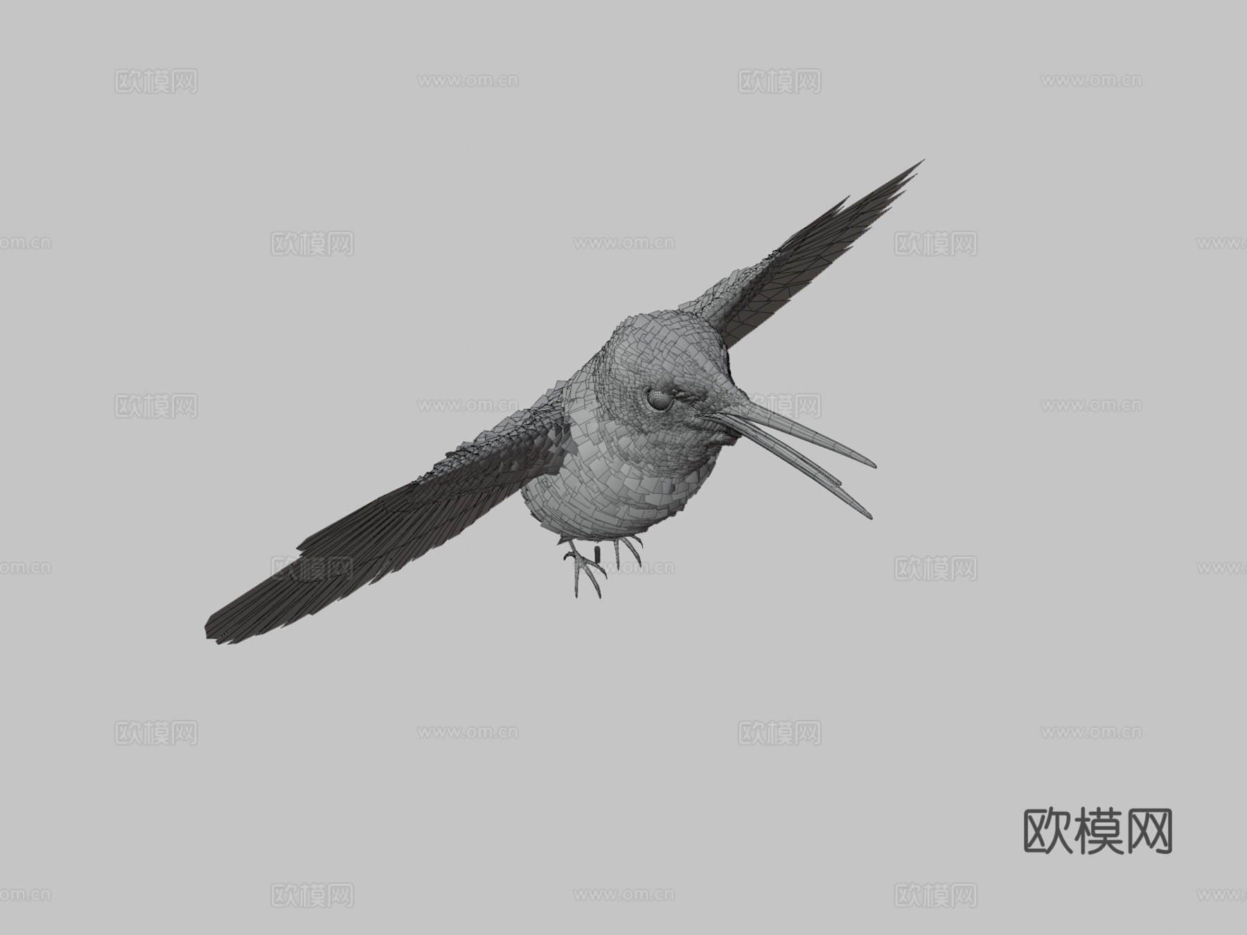 红喉蜂鸟♂3d模型