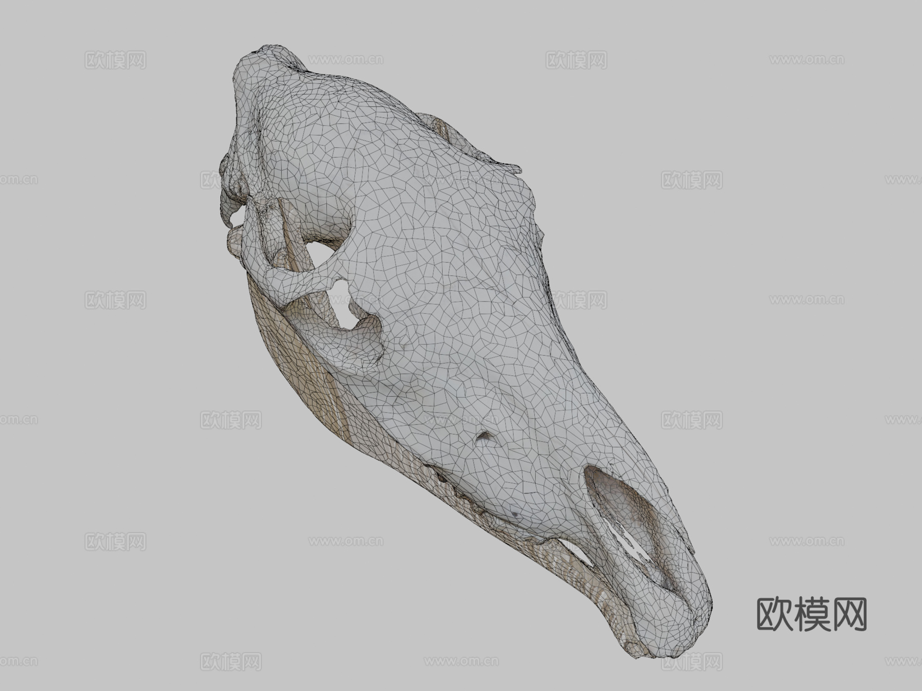 摄影测量马头骨3d模型