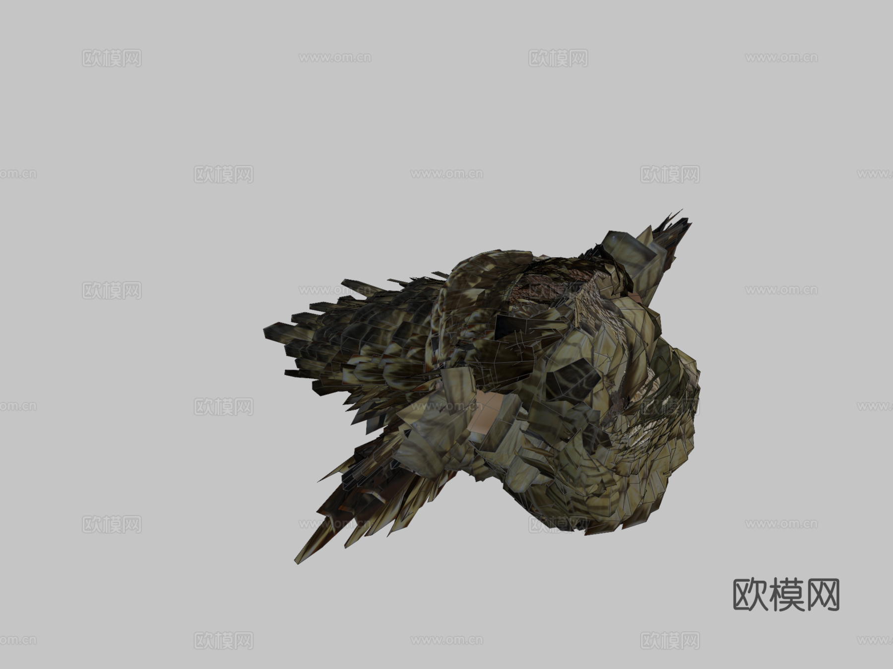褐隼3d模型