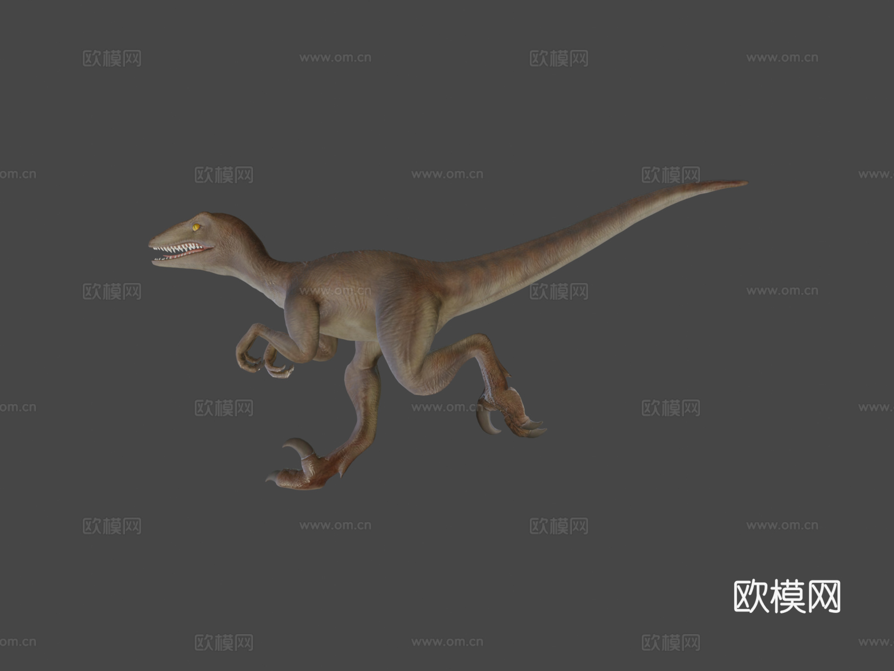 迅猛龙3d模型