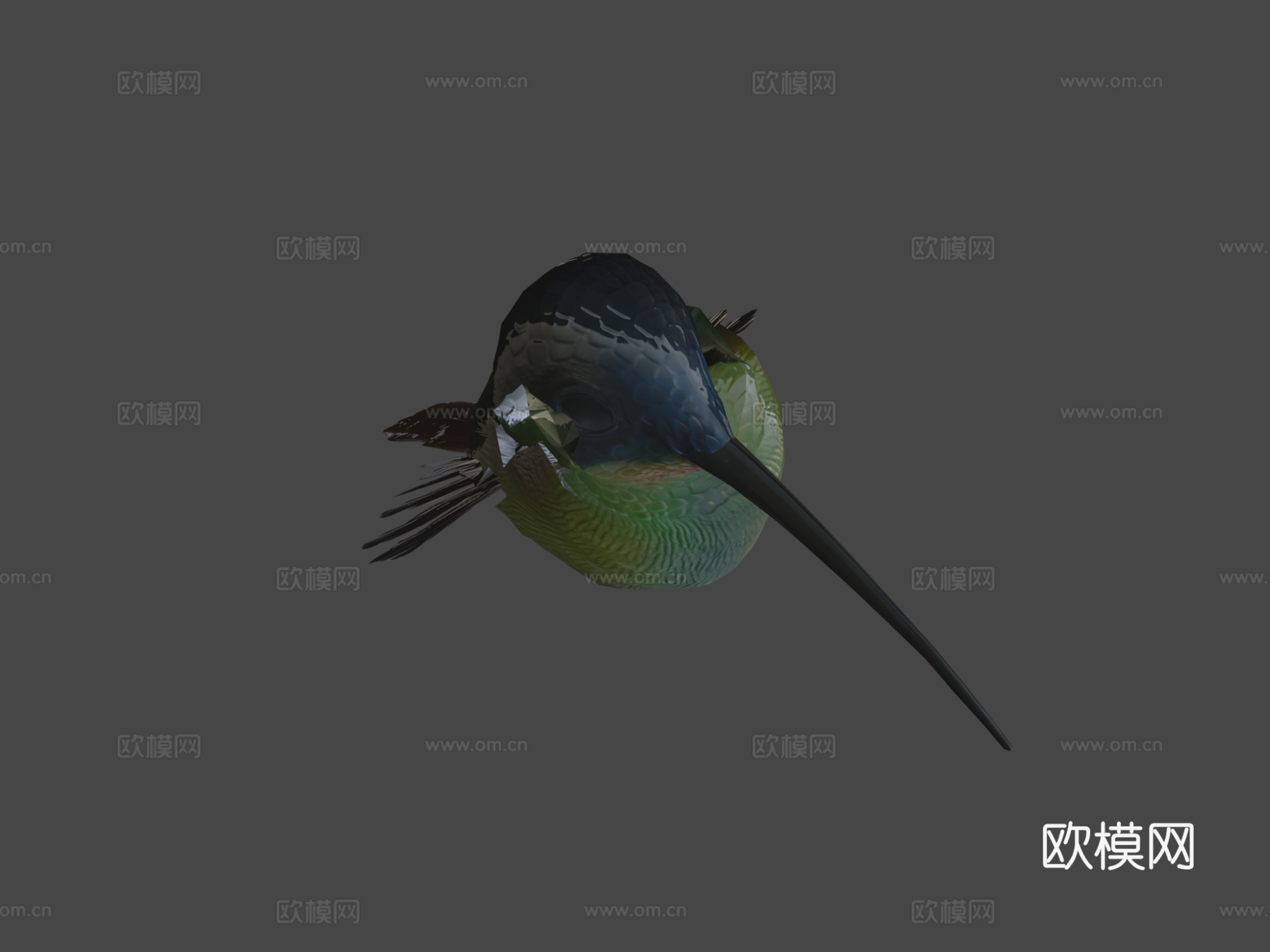动画悬停飞行蜂鸟循环3d模型