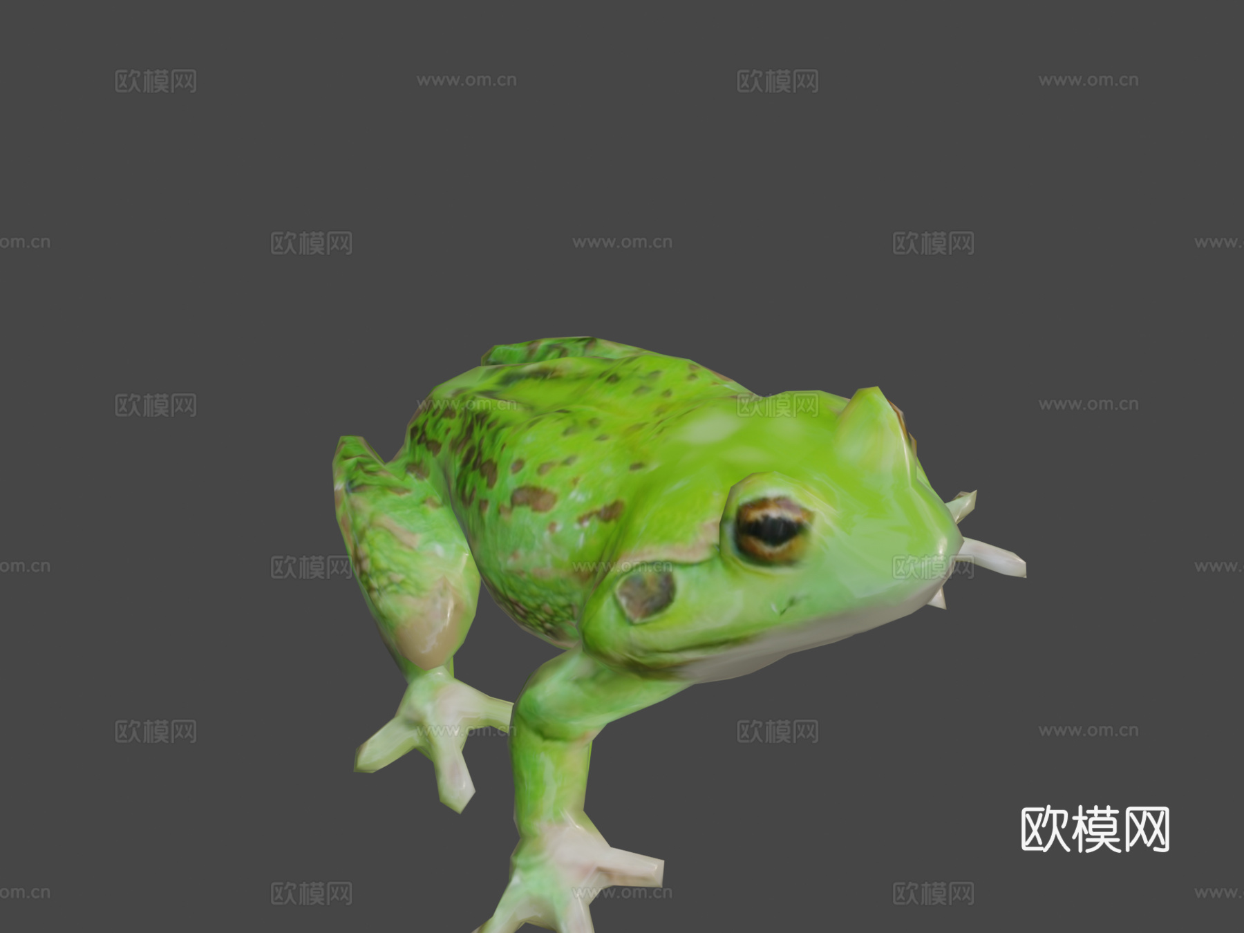 青蛙3d模型