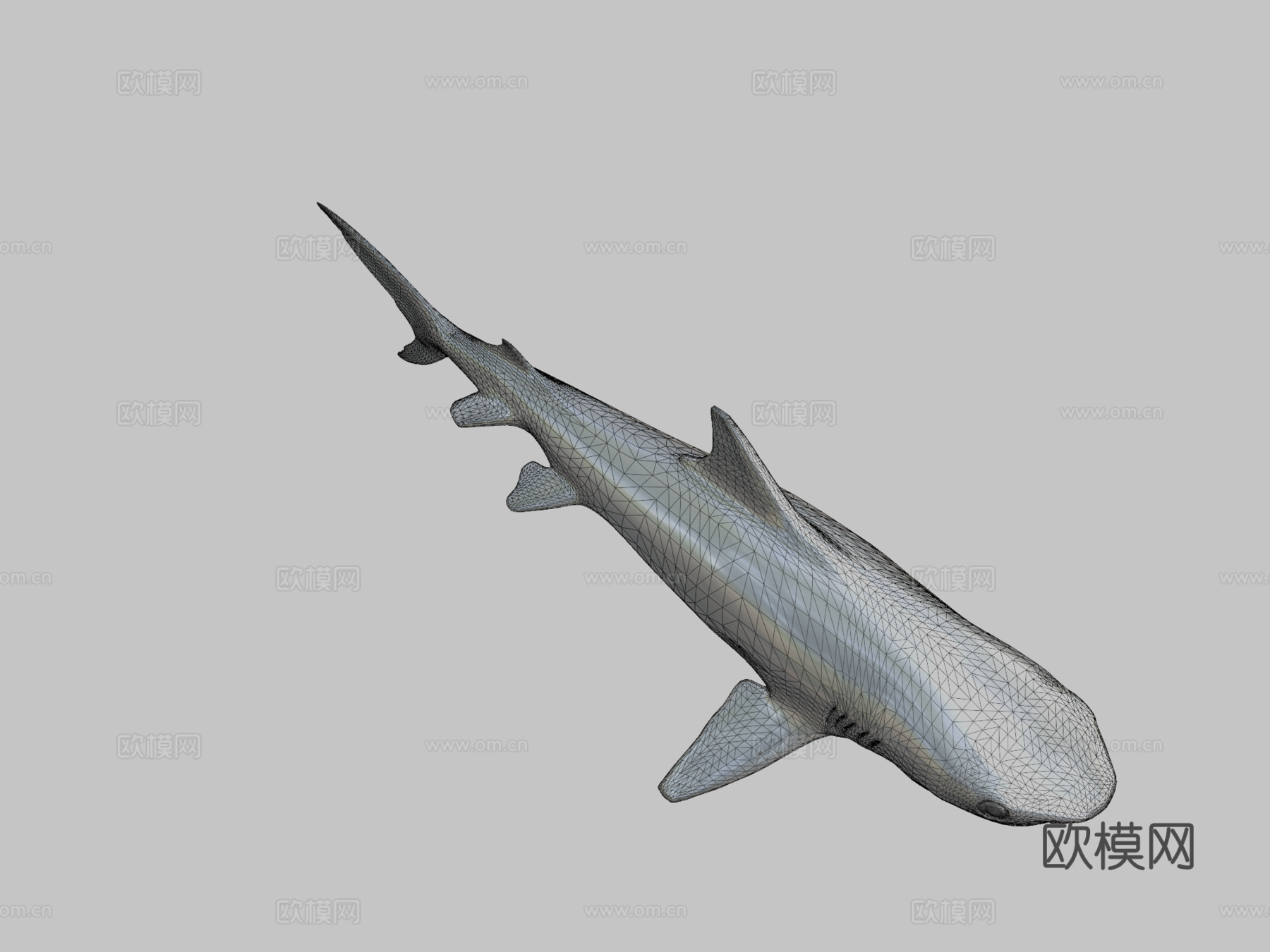 虎鲨3d模型