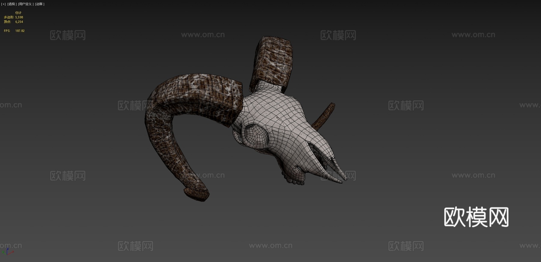 山羊头骨3d模型