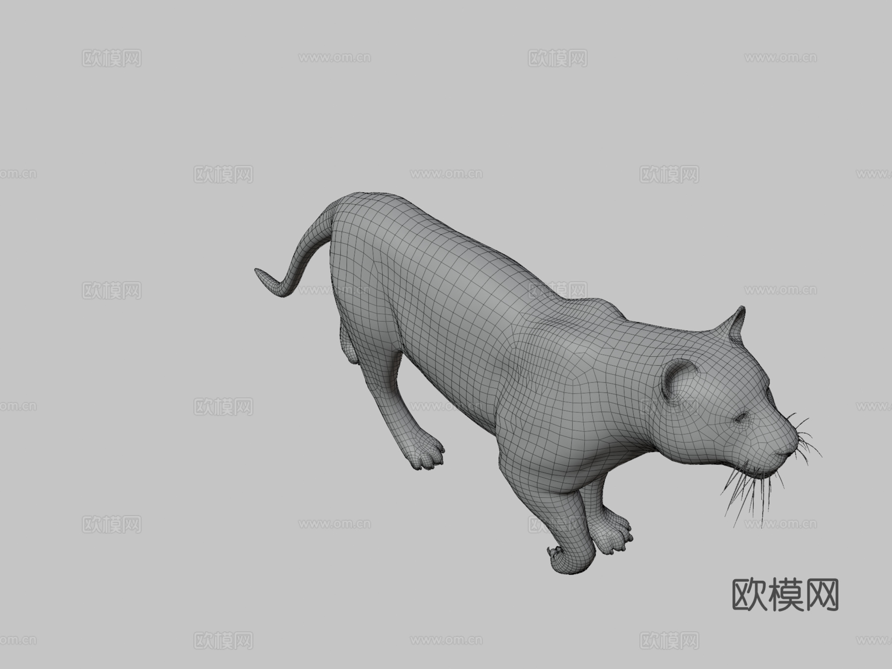 老虎3d模型