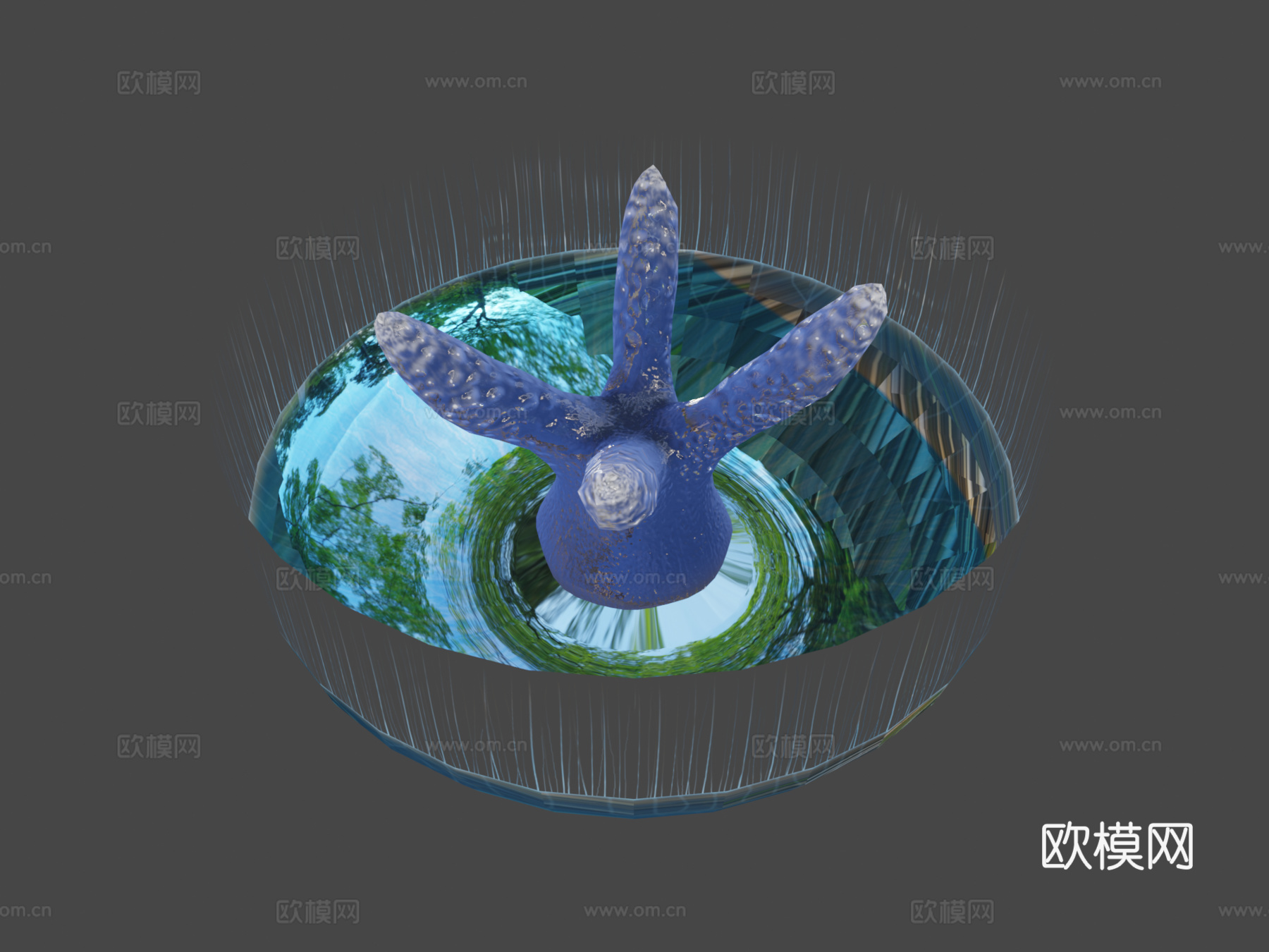 月亮水母动画3d模型