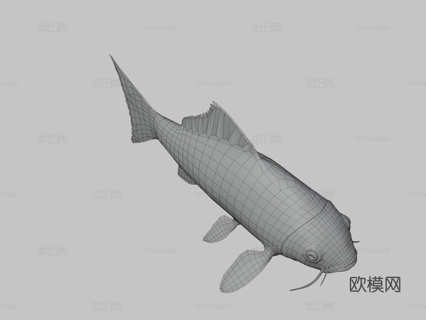 锦鲤3d模型