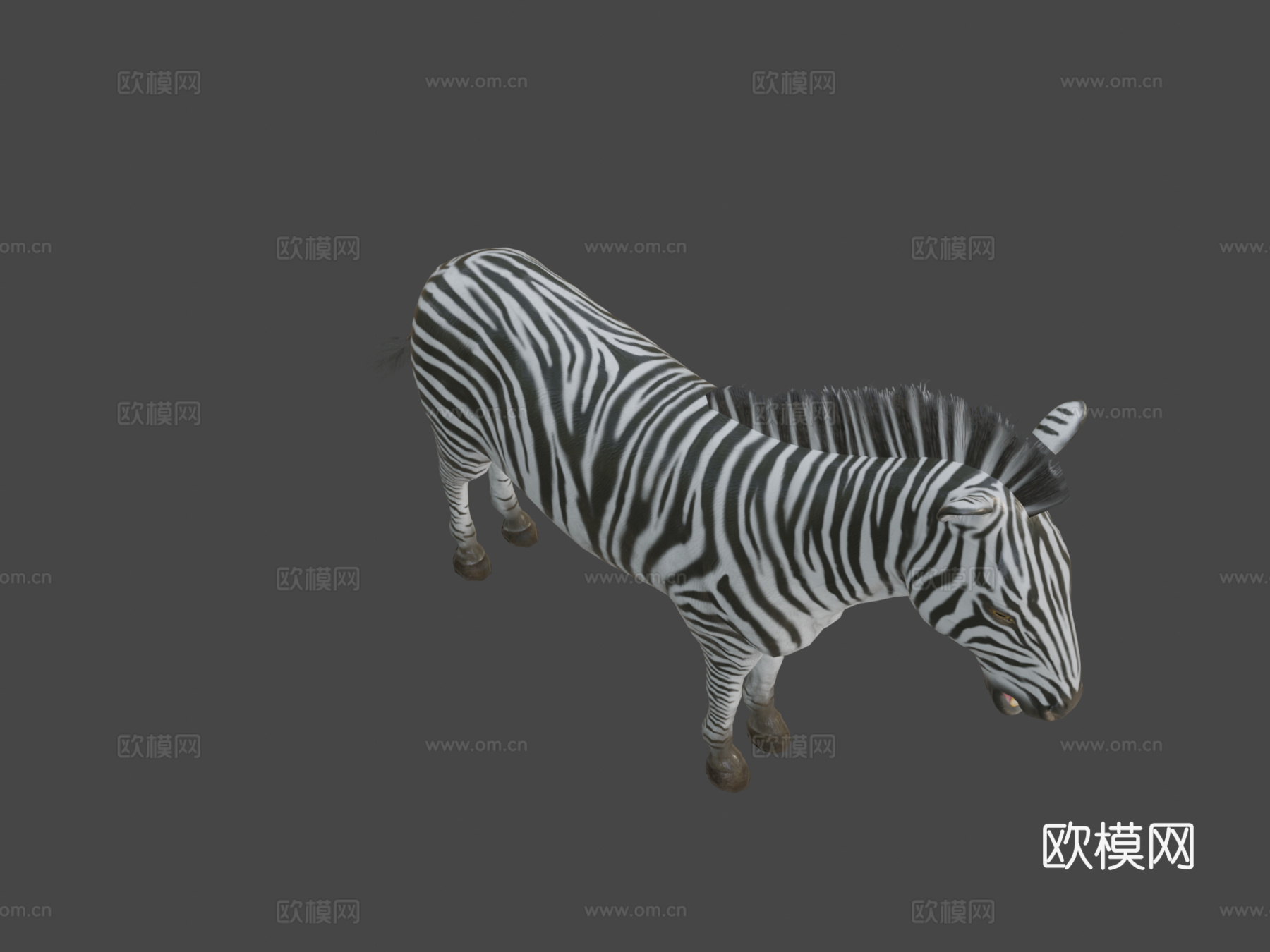 斑马动画3d模型