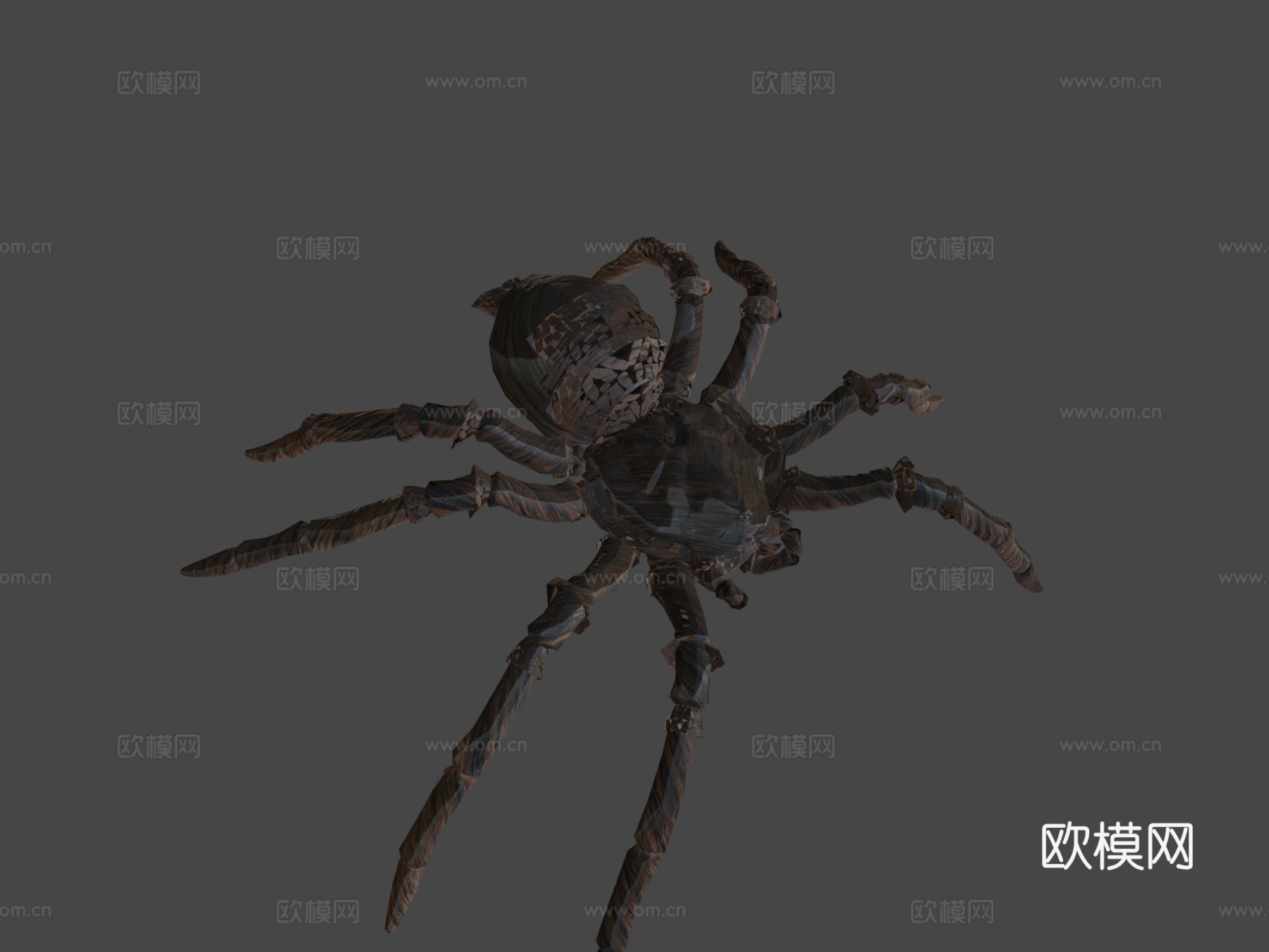 毛茸茸蜘蛛3d模型