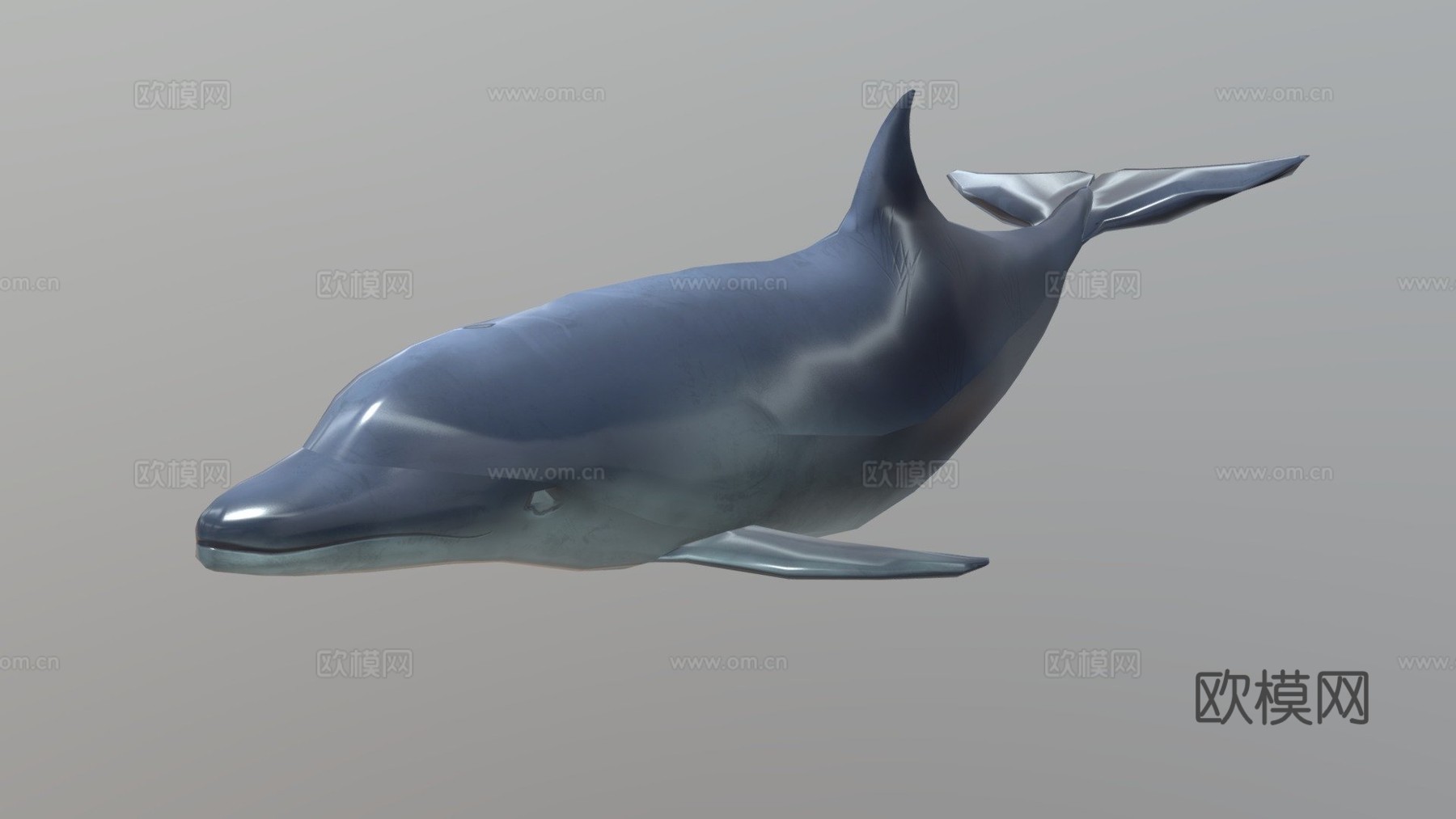 游戏级海豚3d模型